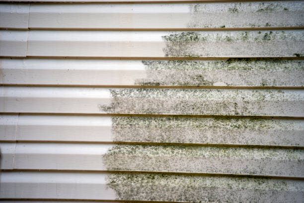 Siding Removal and Disposal in Felton, DE